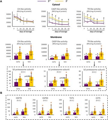 Innate Variability in Physiological and Omics Aspects of the Beta Thalassemia Trait-Specific Donor Variation Effects